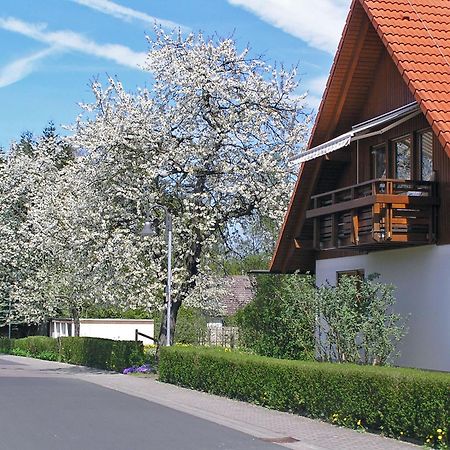 Ferienwohnung Am Schlosspark شليتز المظهر الخارجي الصورة